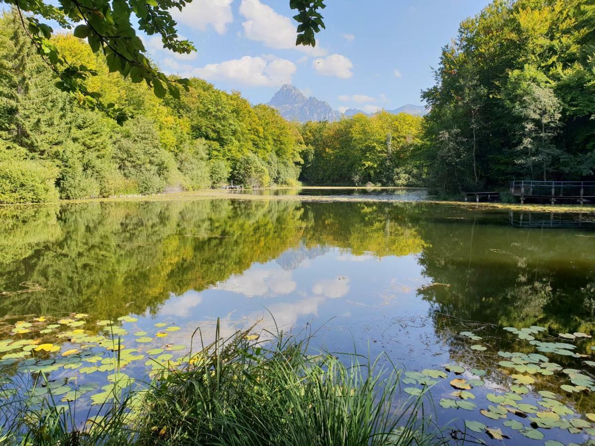 Entre Lac Et Montagnes Bernex Exterior photo